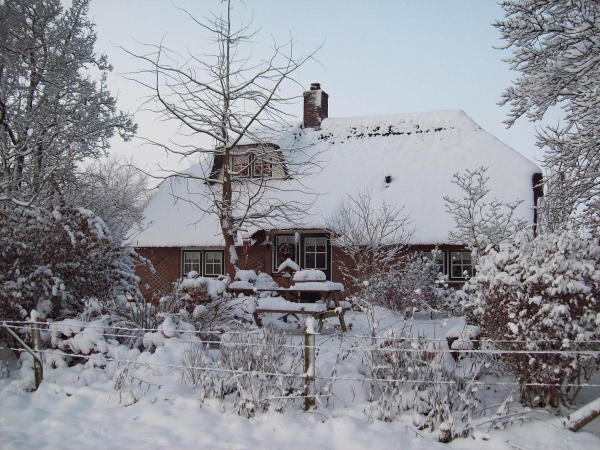 Villa Anton'S Erfje à Dalfsen Extérieur photo